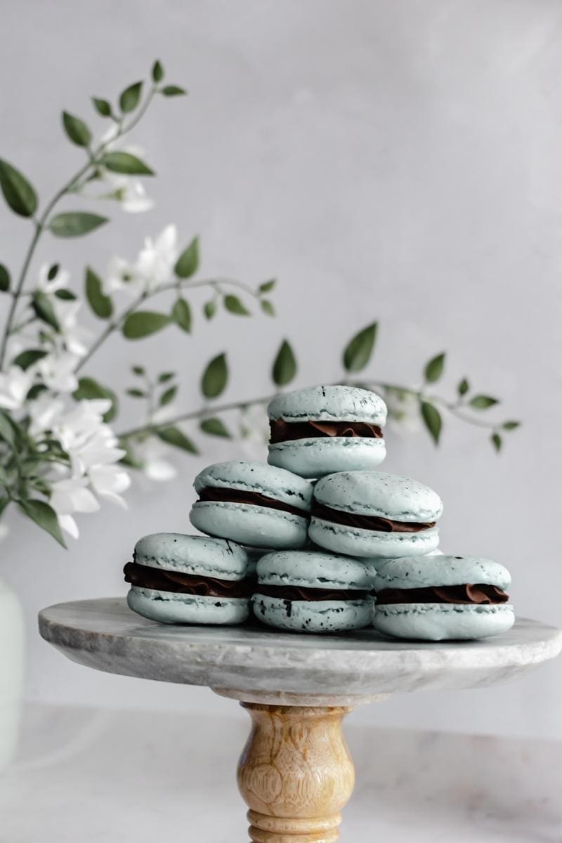 Robin’s Egg Macarons