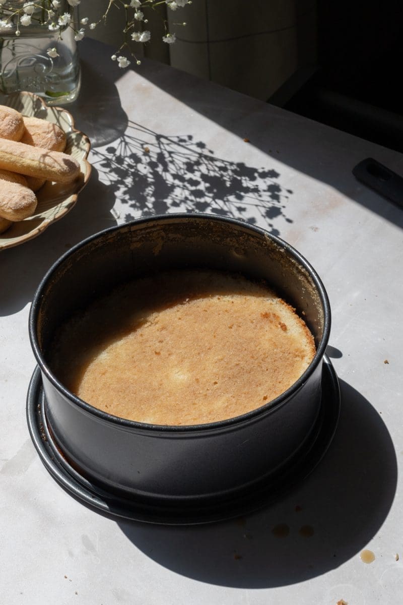 The bottom half of the cake in a springform pan, soaked with espresso.