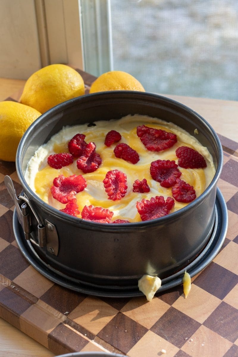 Layering the cake in the springform pan.