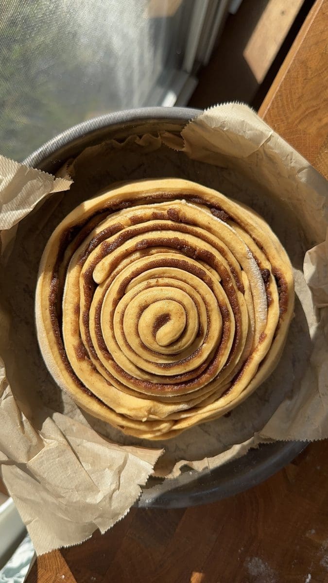 The pumpkin cinnamon roll assembled in a pan.